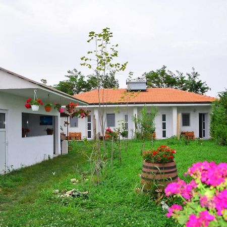 Casa Gyomar Hotell Vama Veche Exteriör bild