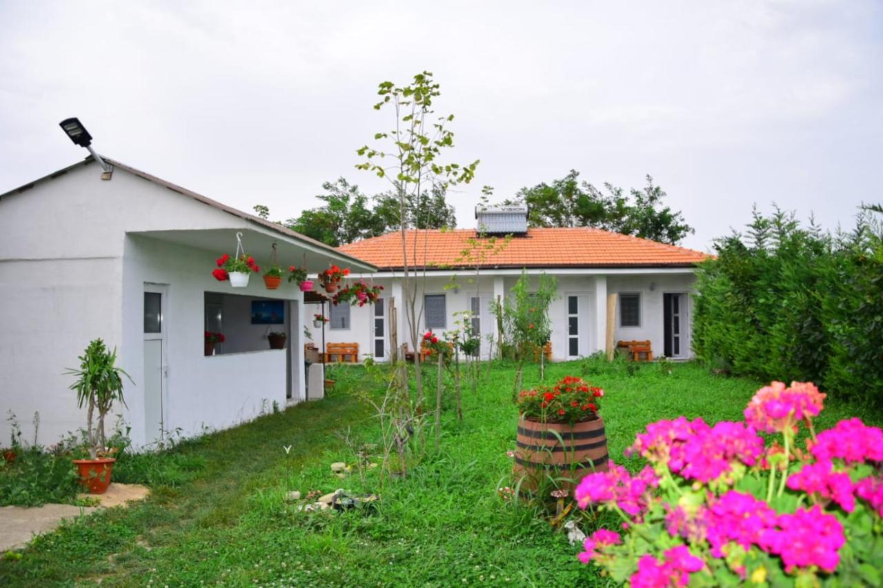 Casa Gyomar Hotell Vama Veche Exteriör bild